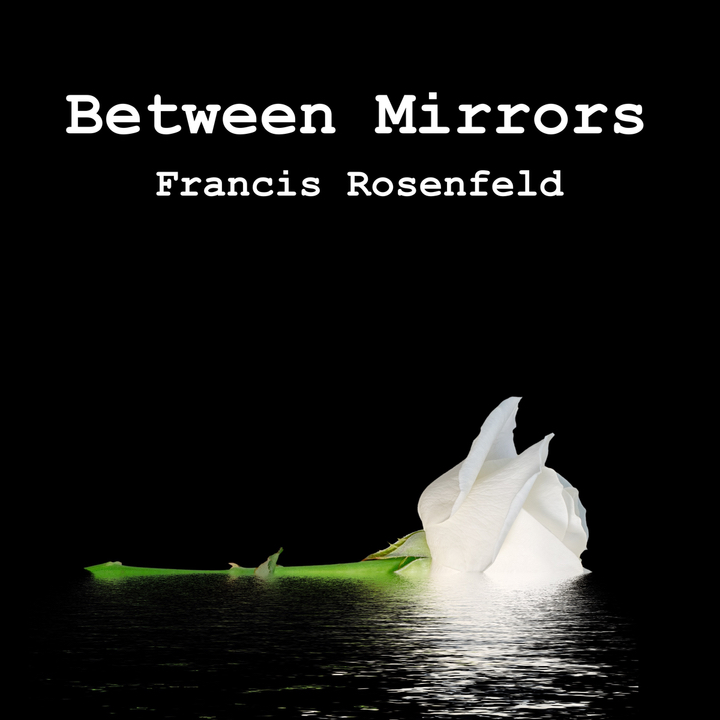 Francis Rosenfeld Between Mirrors book cover - self-reflection personal growth story