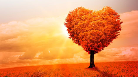 Innocence - Story Animation